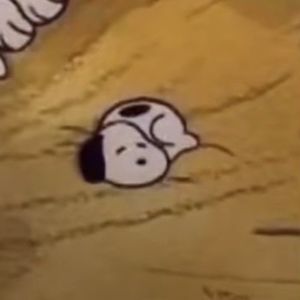 Meet your Posher, Chloe